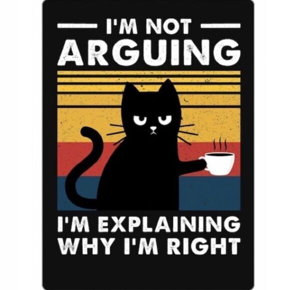 COPY - Grumpy Cat Funny Magnet - Picture 6 of 6
